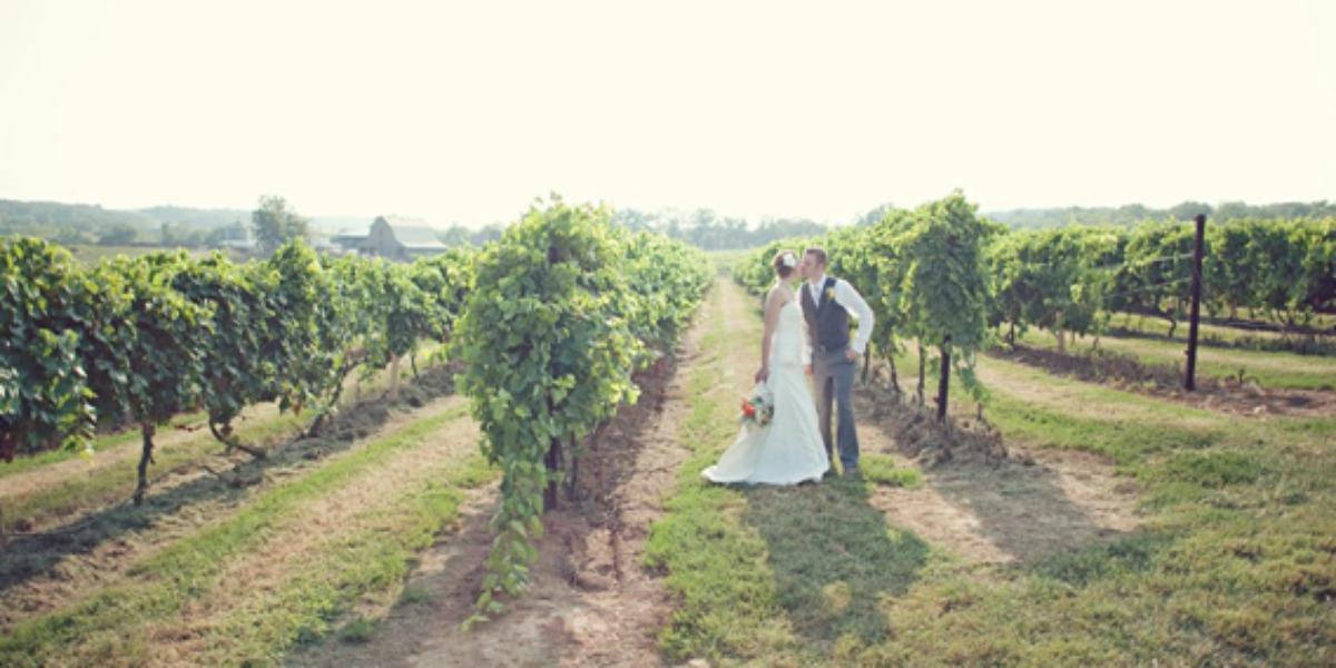Crown Valley Winery Weddings Get Prices for Wedding Venues in MO