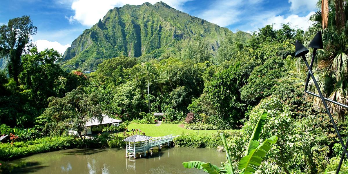 Haiku Gardens Weddings Get Prices for Wedding Venues in