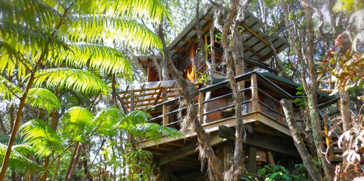 Mahinui Rainforest Weddings Weddings Get Prices for Hawaii (Big