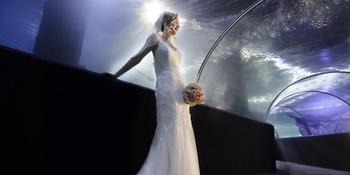 Greater Cleveland Aquarium Weddings in Cleveland OH