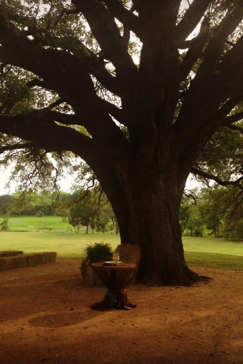 Stonebridge Wedding and Event Venue Weddings Get Prices for Fort Worth Wedding Venues in Blum, TX