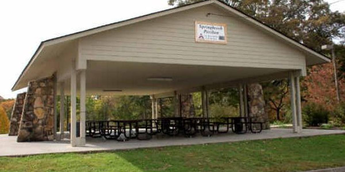 Springbrook Park Weddings Get Prices for Wedding Venues in Alcoa, TN