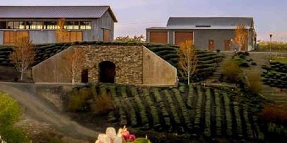 Gilbert Cellars Winery Weddings Get Prices for Wedding Venues in WA