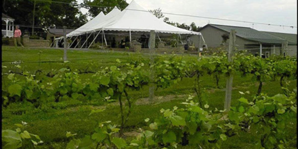 Virginia Mountain Vineyards Weddings Get Prices for