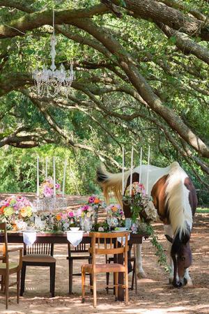 Oak Hollow Farm Venue Fairhope Get Your Price Estimate