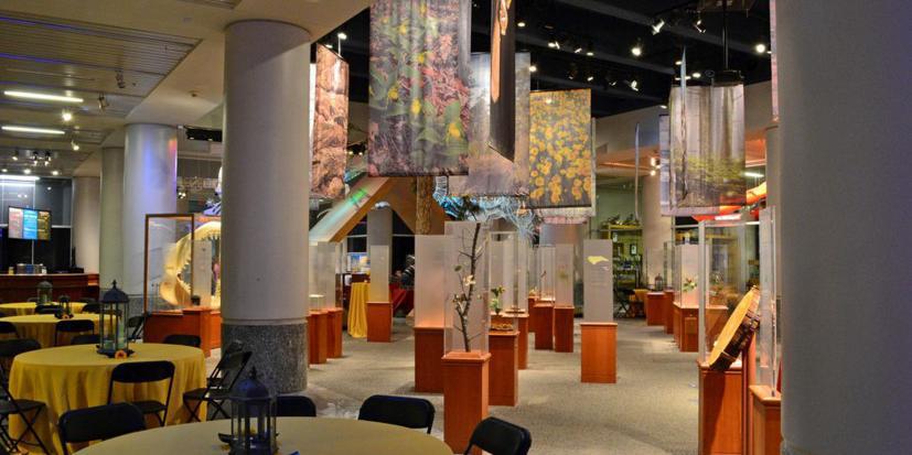 North Carolina Museum of Natural Sciences | Venue, Raleigh