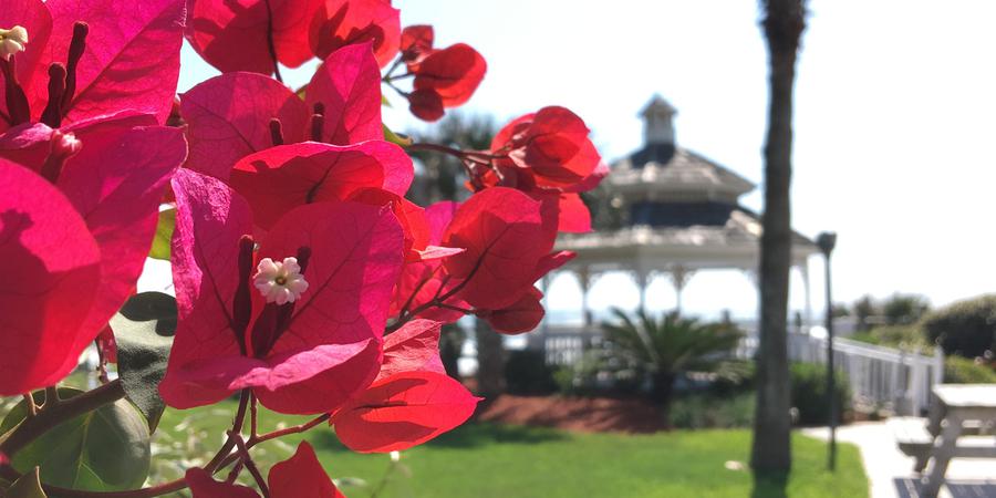 Coral Sands Resort And Seaside Cottages Venue Ormond Beach