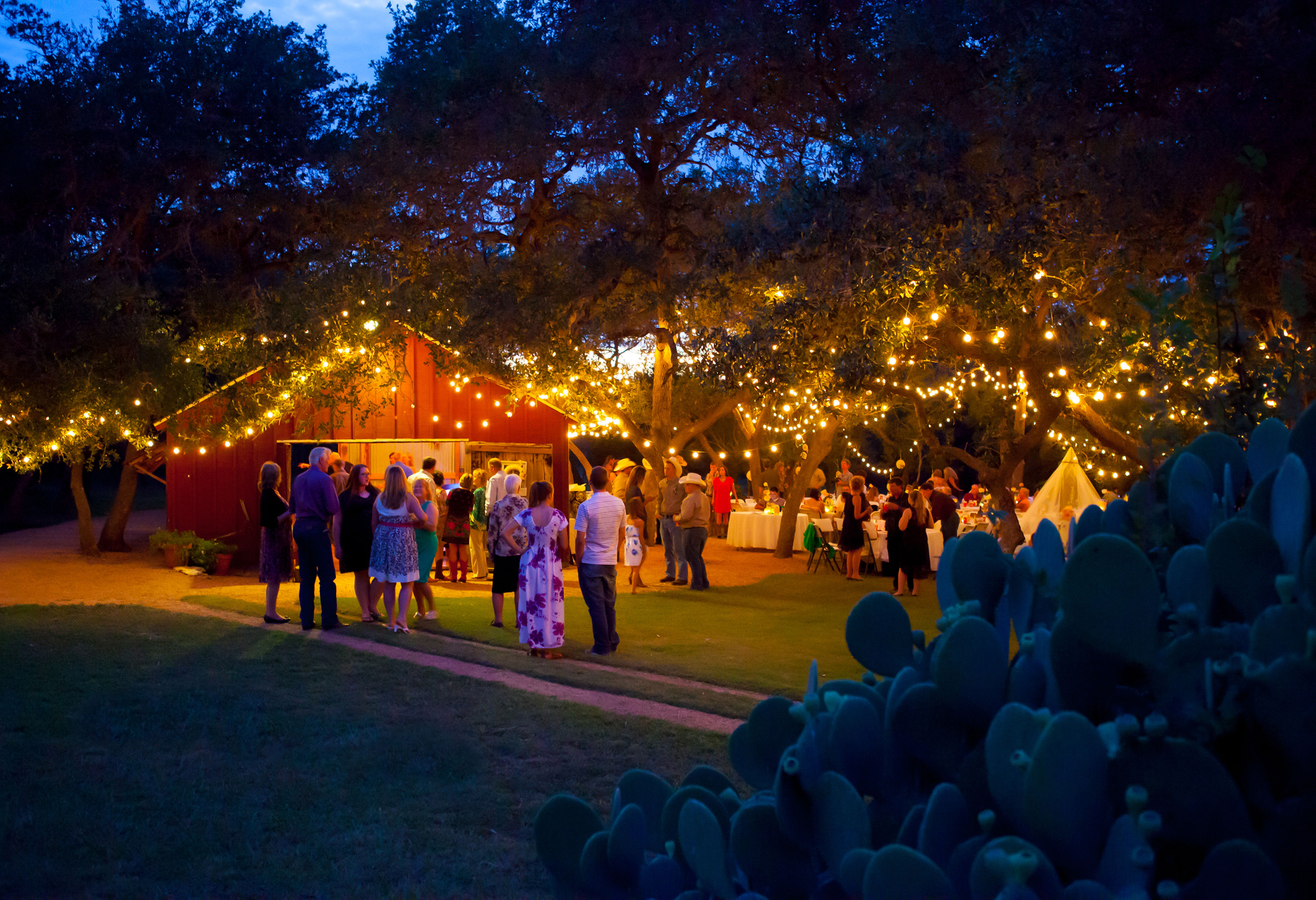 The Wildflower Barn (@thewildflowerbarn) · Driftwood, TX, image size:4000x2736