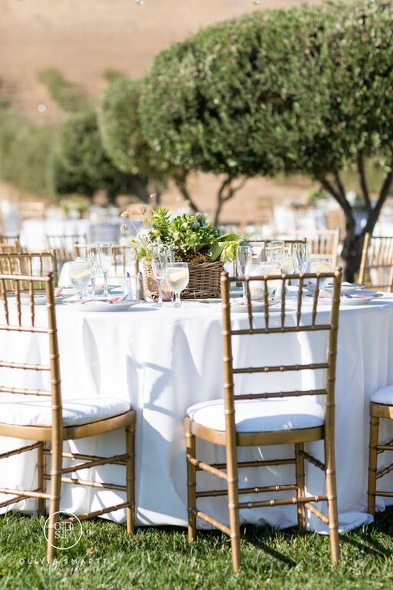 Purple Orchid Wine Country Resort Weddings Get Prices For Wedding Price This Venue To Get Your Estimate No Strings Attached