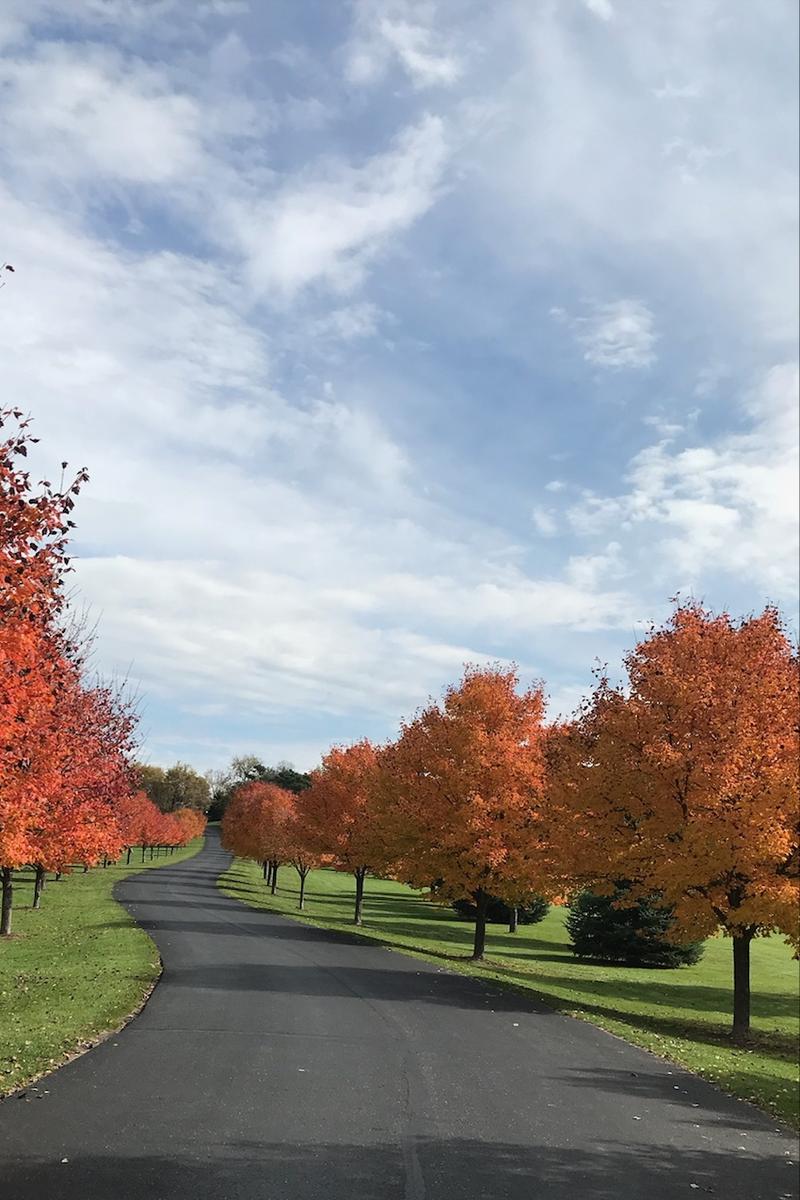 Kilkarney Hills Golf Course Weddings Get Prices for Wedding Venues in WI