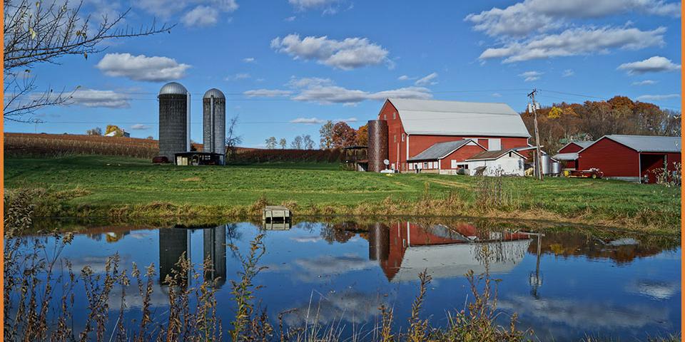 Rockbridge Vineyard weddings in Raphine VA