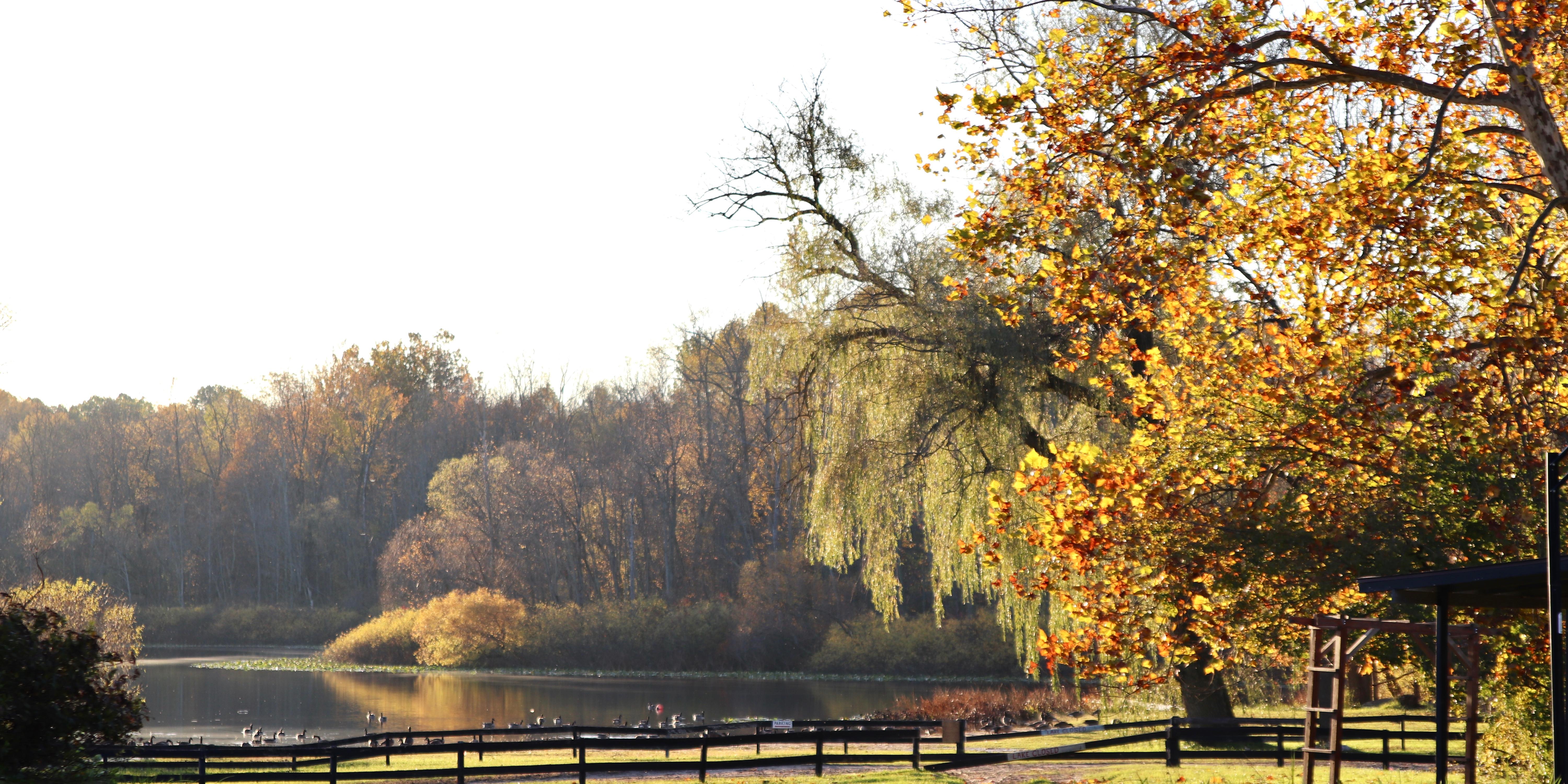 Cedar Lodge weddings in Lawrence MI