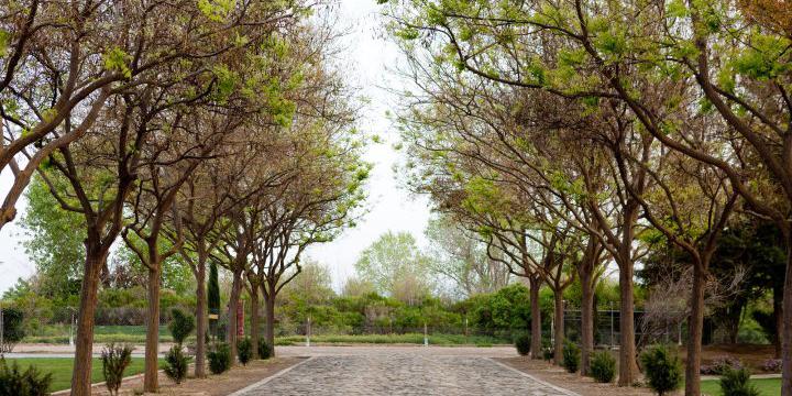 Cardella Winery weddings in Mendota CA