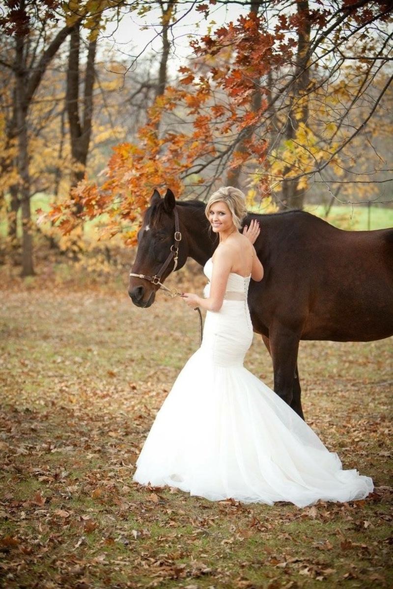 Minnesota Horse Hunt Club Weddings Get Prices For Wedding Venues Price This Venue