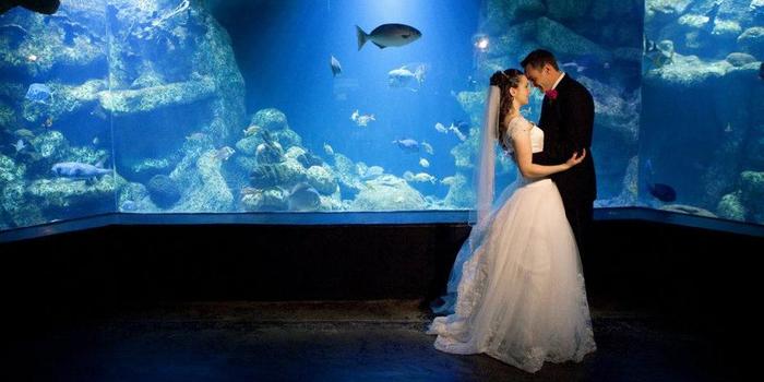 Oklahoma Aquarium Weddings Get Prices For Wedding Venues In Ok Price This Venue To Get Your Estimate No Strings Attached