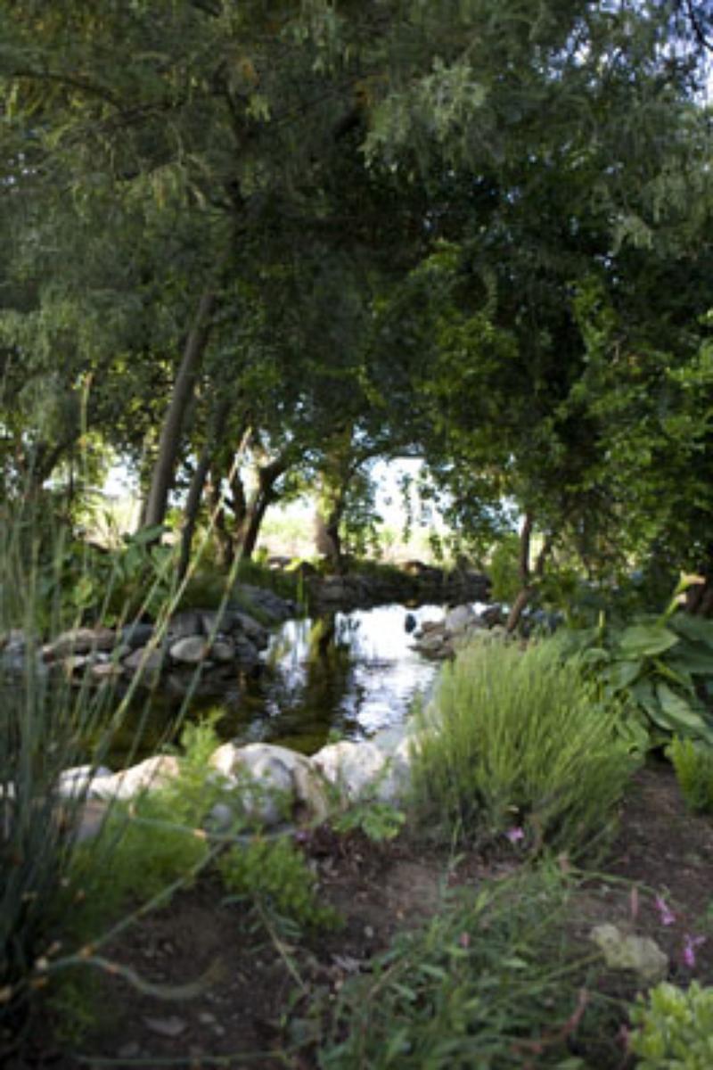 Bare Ranch Weddings Get Prices for Wedding Venues in CA