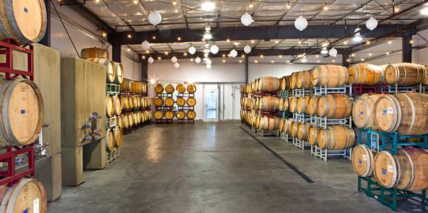 Andis Wines weddings in Plymouth CA