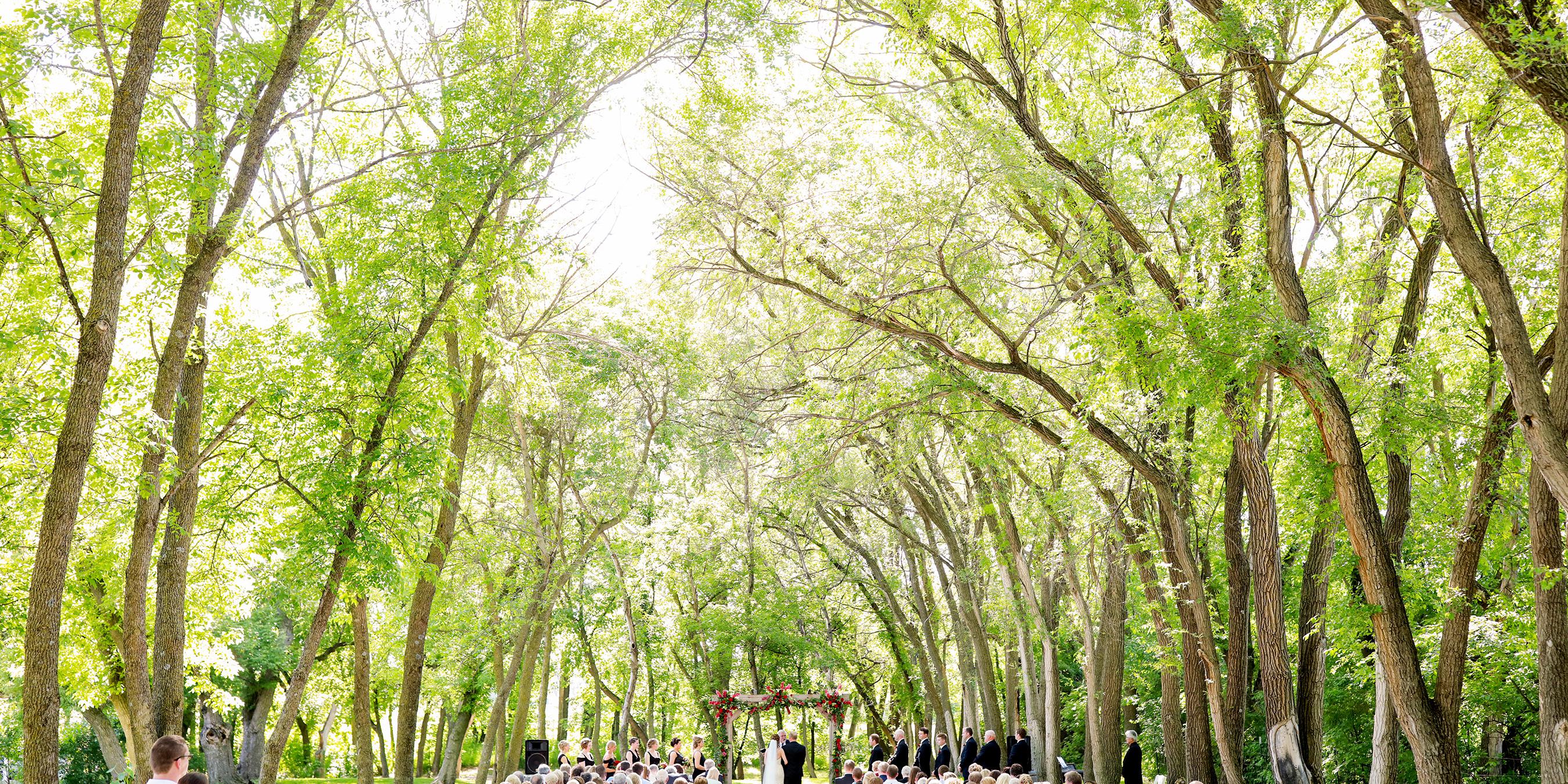 Carlos Creek Winery weddings in Alexandria MN