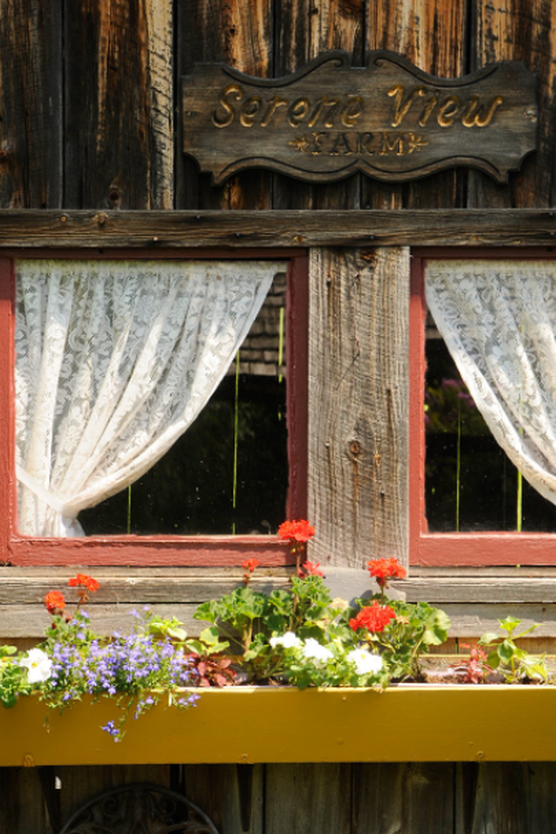 Serene View Farm Bed & Breakfast Weddings Get Prices for Wedding