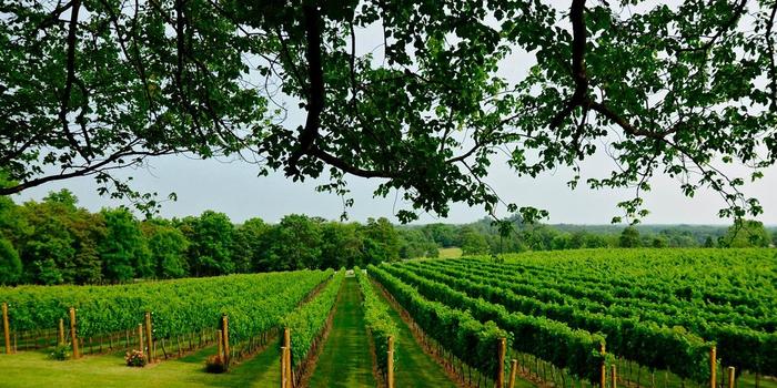 The Winery At La Grange Wedding Fredericksburg VA 2_main