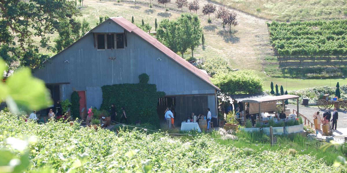 Taber Ranch Vineyards & Event Center weddings in Capay CA