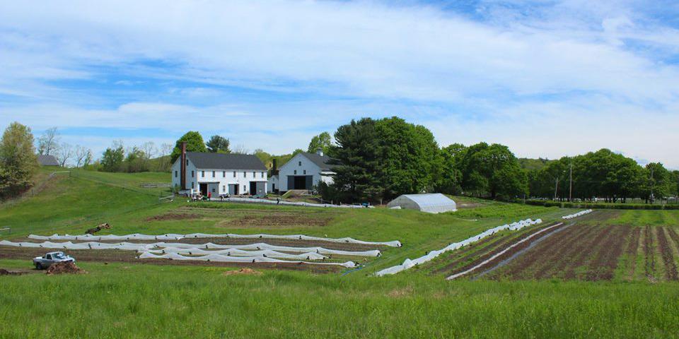 Wright Locke Farm weddings in Winchester MA