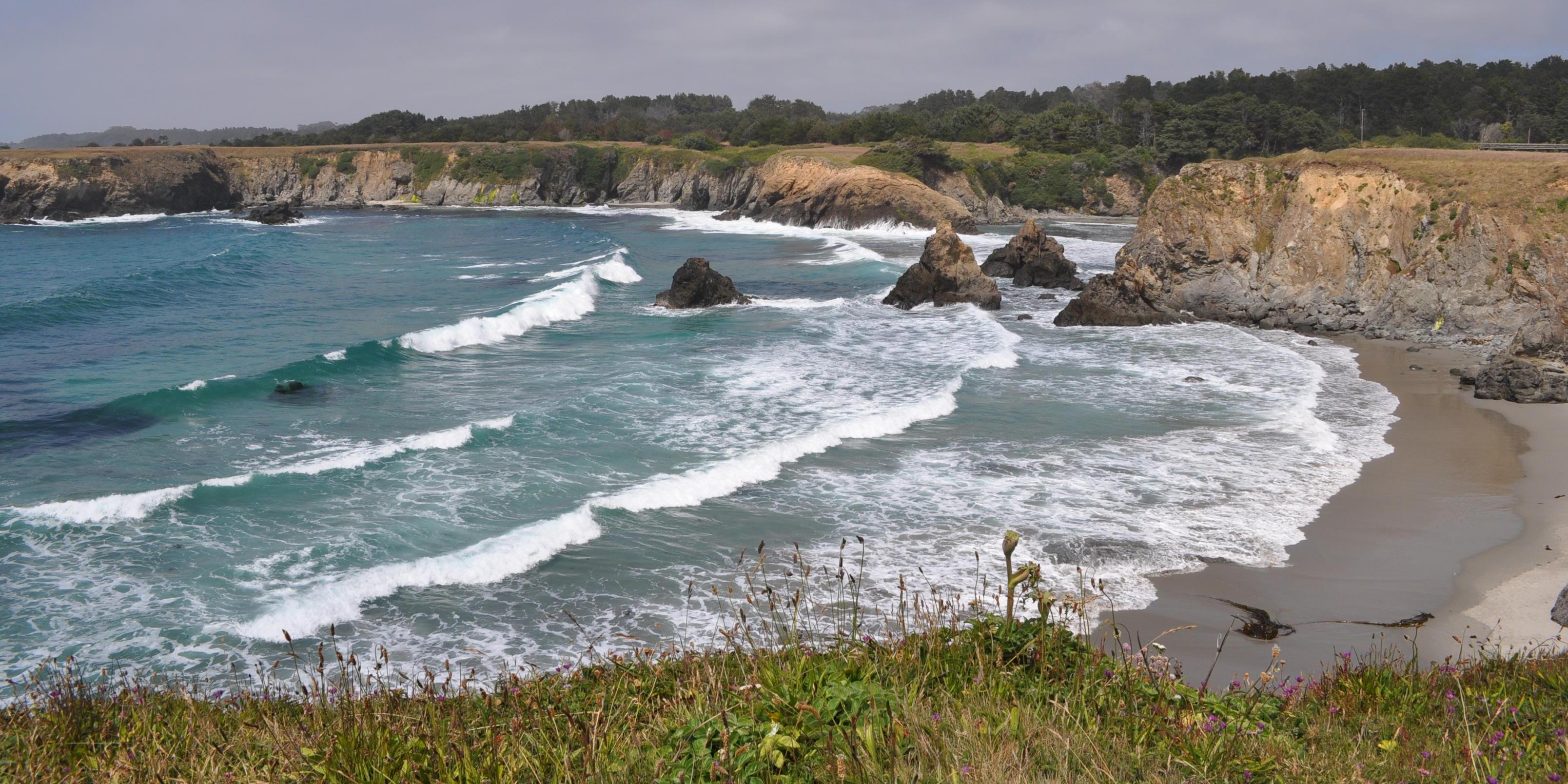 Jug Handle Creek Farm weddings in Caspar CA