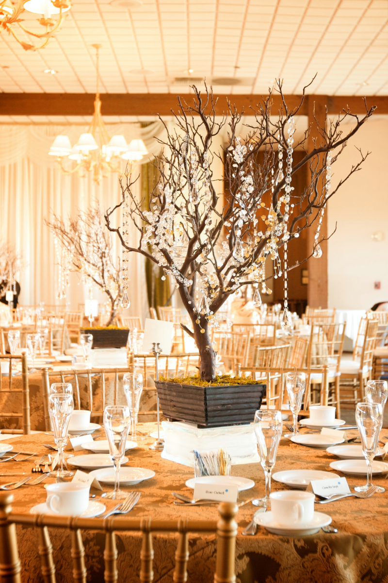 Bay Club Santa Clara Wedding Venue