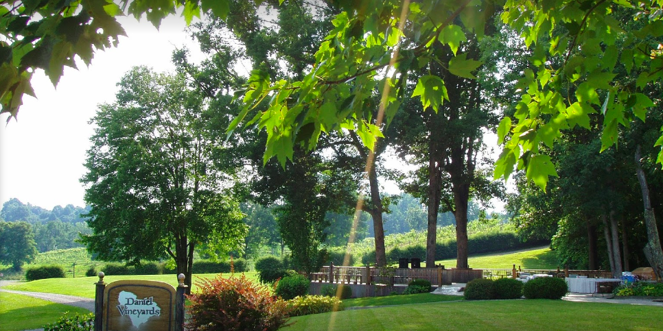 Daniel Vineyards weddings in Crab Orchard WV