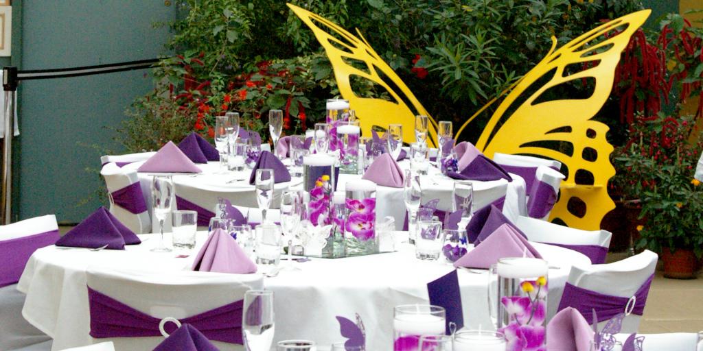 Magic Wings Butterfly Conservatory weddings in South Deerfield MA