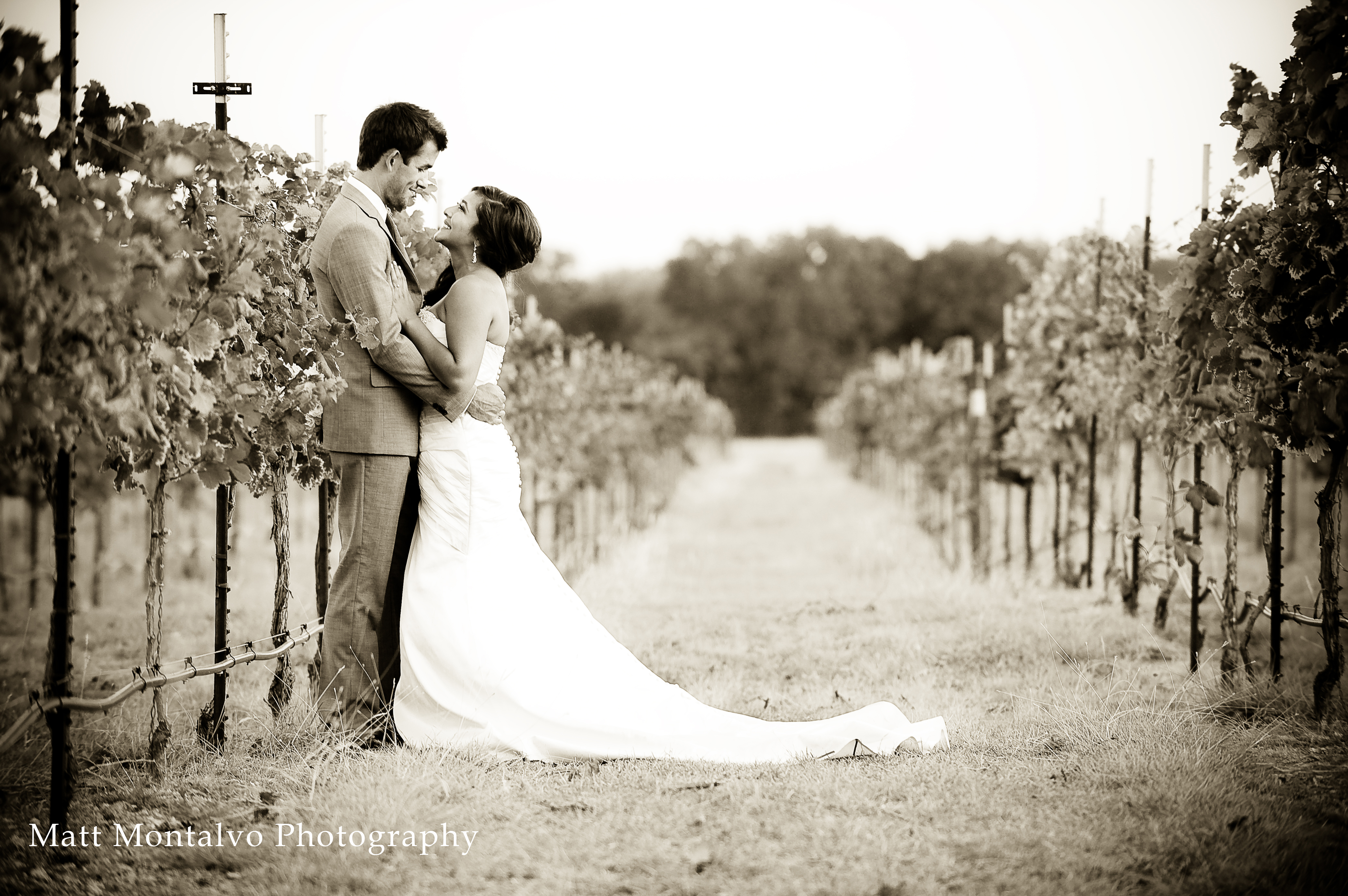 Duchman Family Winery | Venue - Driftwood, TX | Wedding Spot, image size:4158x2766