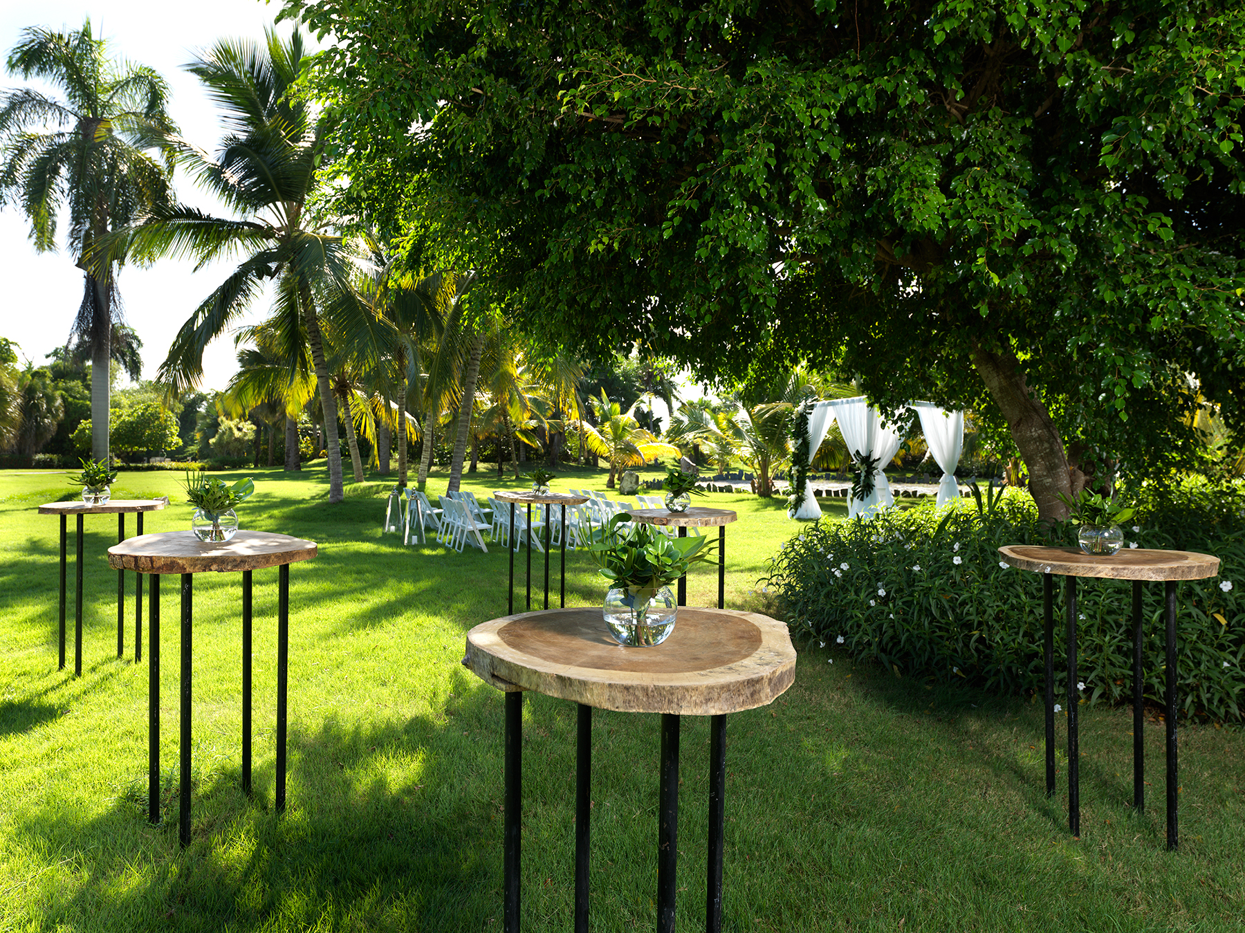 MELIA CARIBE TROPICAL, image size:1800x1349