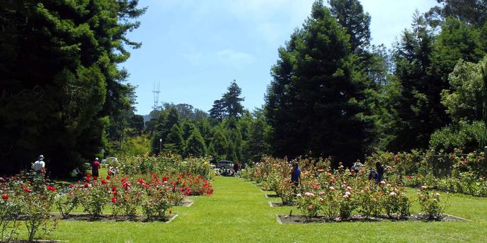 Myrosegarden In San Francisco California Ada