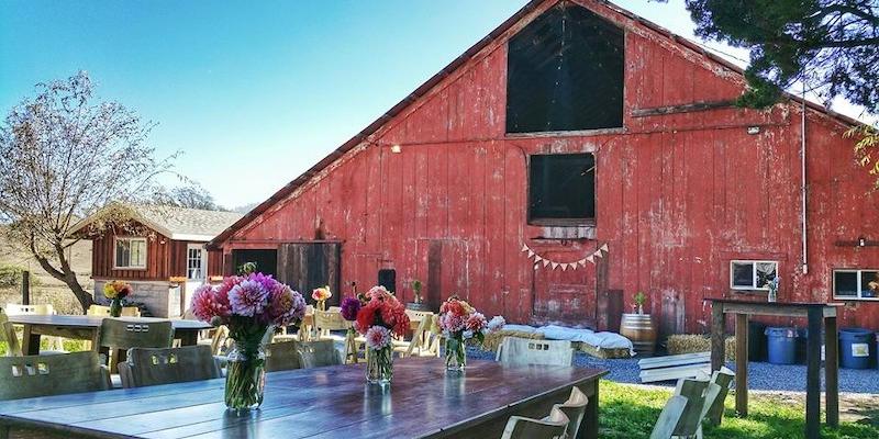 Stemple Creek Ranch weddings in Tomales CA