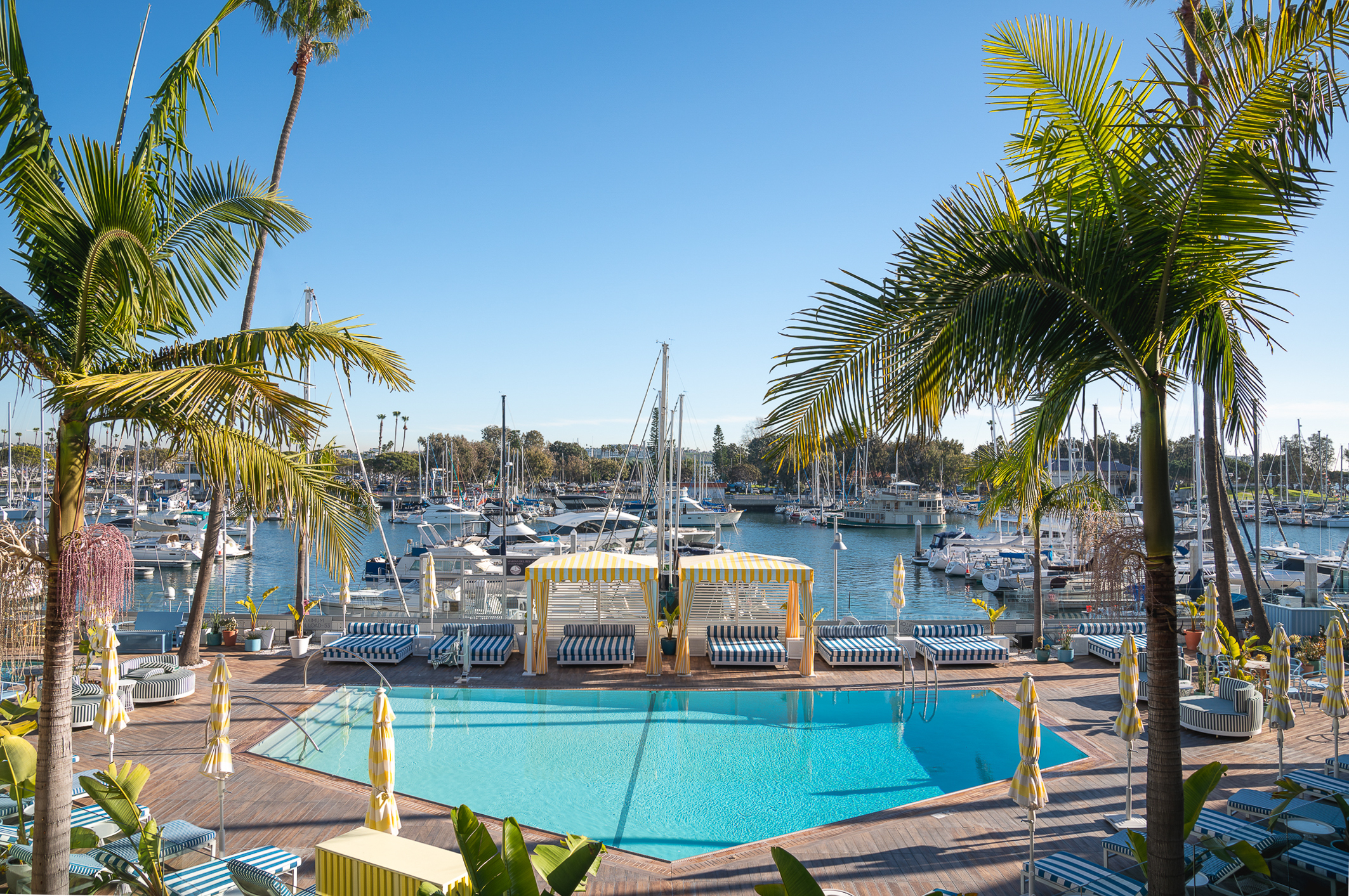 Pier Sixty-Six Resort, photo 4