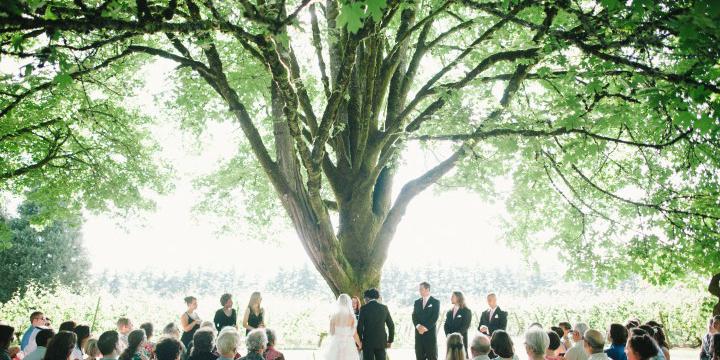 Ponzi Historic Estate weddings in Beaverton OR