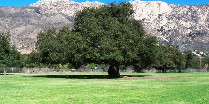 El Monte County Park Weddings Get Prices for Wedding