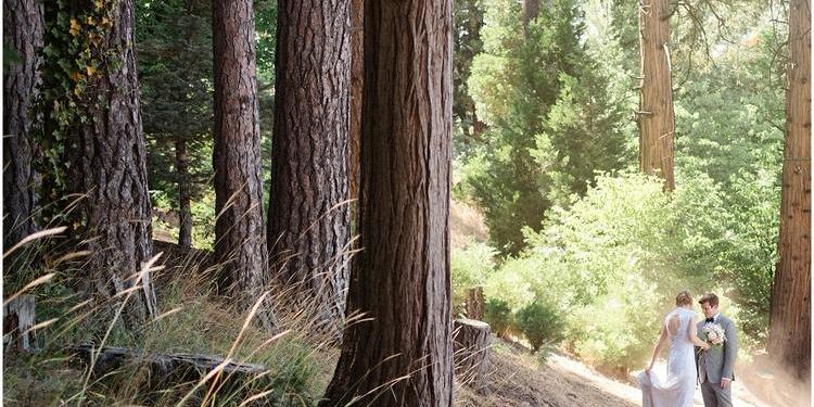 Willow Woods Park weddings in Skyforest CA