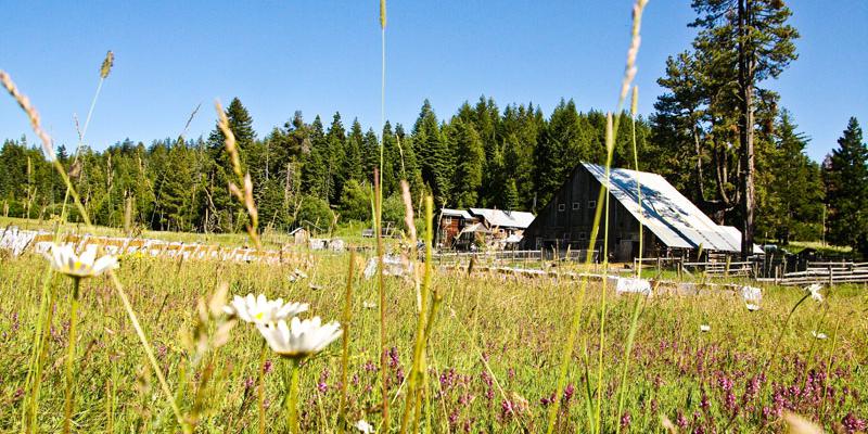 Willow-Witt Ranch weddings in Ashland OR