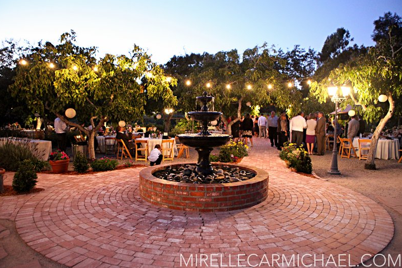 The Gardens at Peacock Farms: A Floral Paradise Awaits