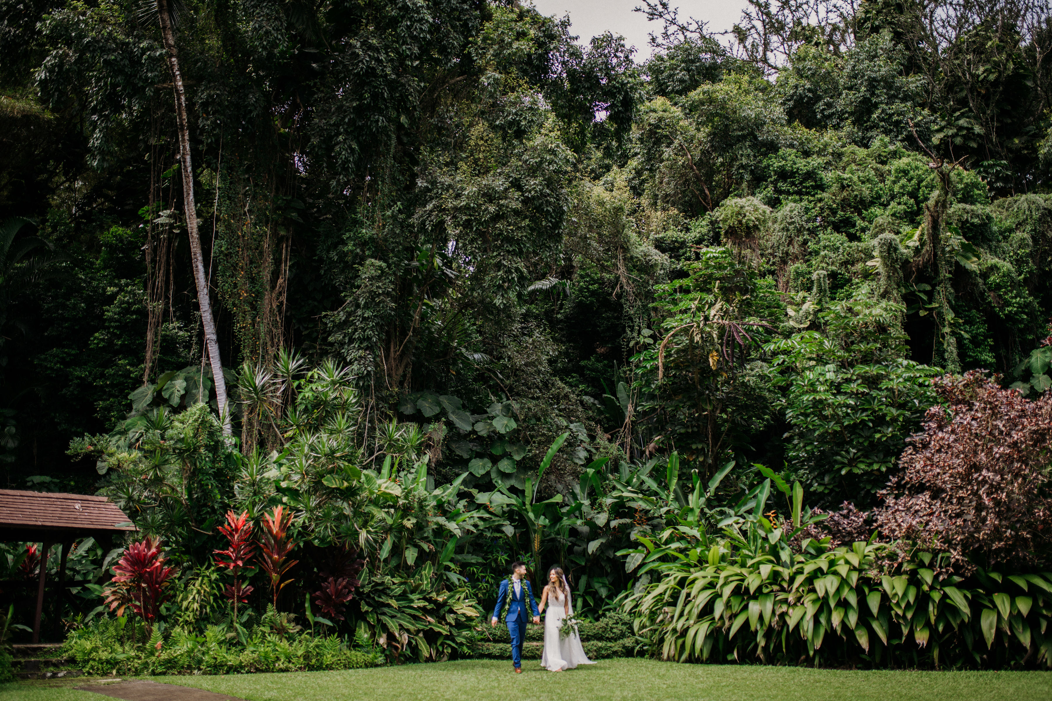 Haiku Gardens Oahu History | Fasci Garden