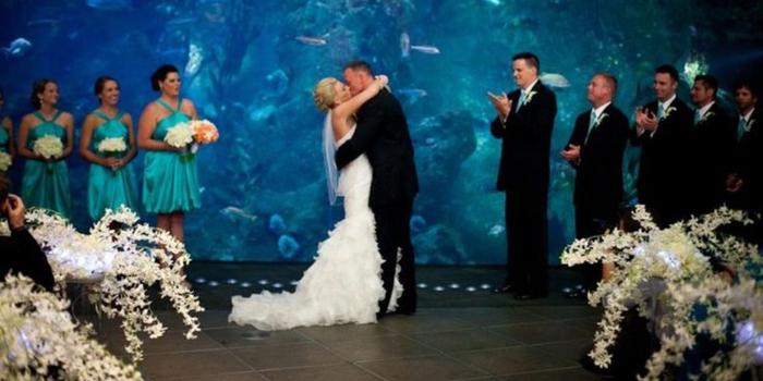 Seattle Aquarium Weddings Get Prices For Wedding Venues In Wa
