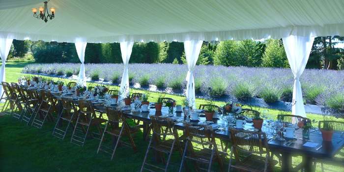 Wedding Venues Information And Pricing Spot