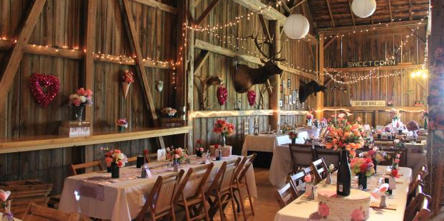 Dhaseleer Events Barn weddings in Charlevoix MI