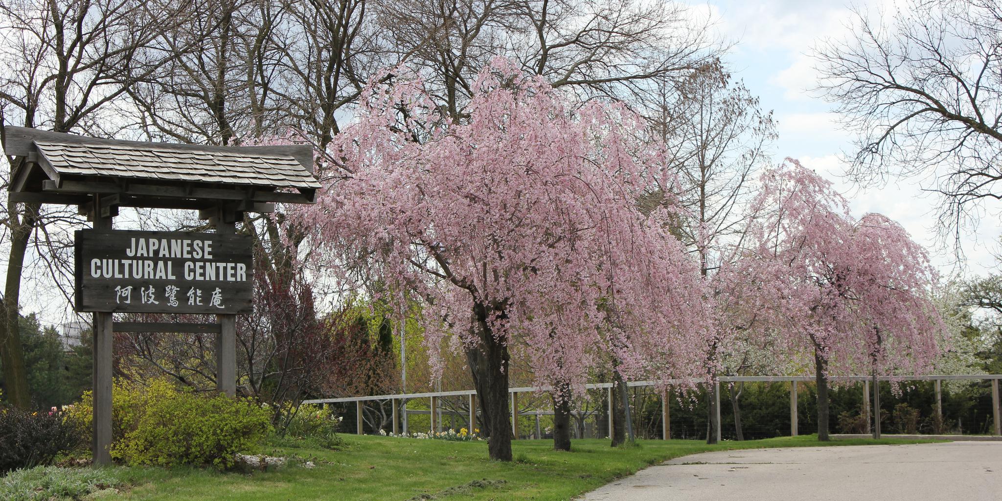 Japanese Cultural Center weddings in Saginaw MI
