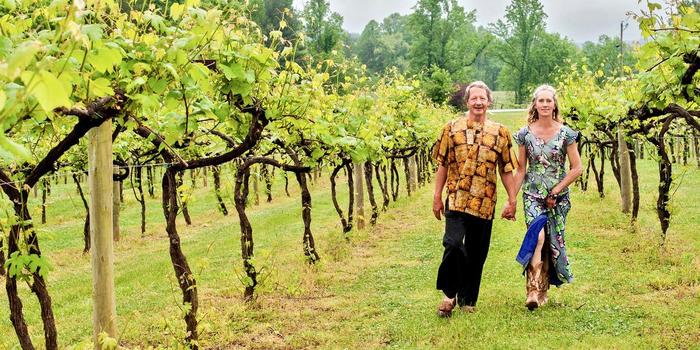 tiger mountain vineyards weddings get prices for wedding venues in ga