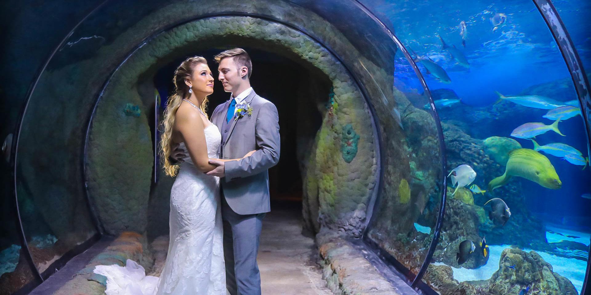 Downtown Aquarium Denver weddings in Denver CO