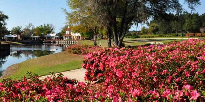 Eagle Landing Golf Club weddings in Orange Park FL