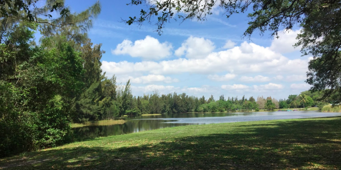 Tree Tops Park Weddings | Get Prices for Wedding Venues in FL