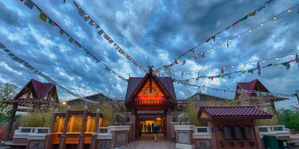 Denver Zoo weddings in Denver CO